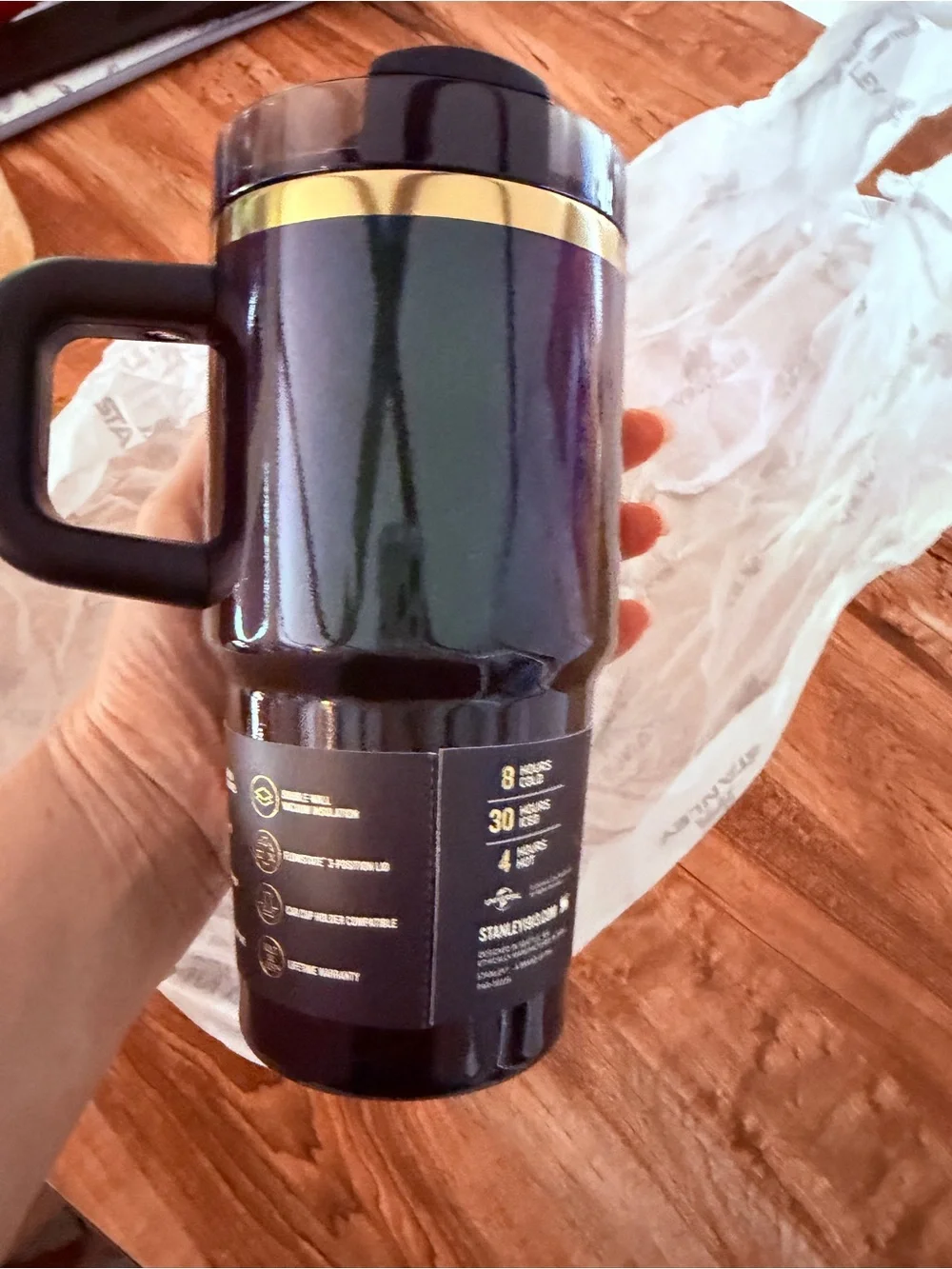 Stanley Wicked Quencher H2.0 Tumbler - 20 oz Elphaba